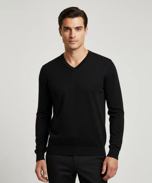 Pull col v-100% laine vierge Zegna lana Baruffa